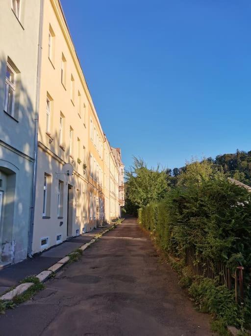 Ubytovani Ester - Utulny Byt V Lazenskem Centru Karlovych Varu Se Zahradkou Leilighet Karlovy Vary Eksteriør bilde