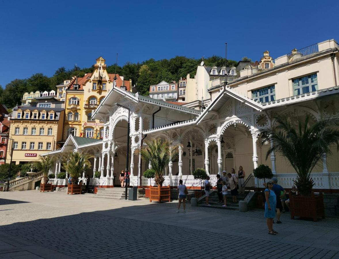 Ubytovani Ester - Utulny Byt V Lazenskem Centru Karlovych Varu Se Zahradkou Leilighet Karlovy Vary Eksteriør bilde